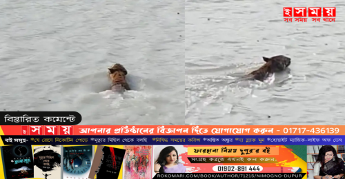 সুন্দরবনে চলতি বছরে দেখা গেছে ৯টি বাঘ প্রথম প্রবেশেই ৩ বাঘের দেখা পেলেন পর্যটক ও বনরক্ষীরা